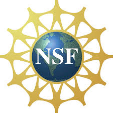 nsf-logo.jpeg