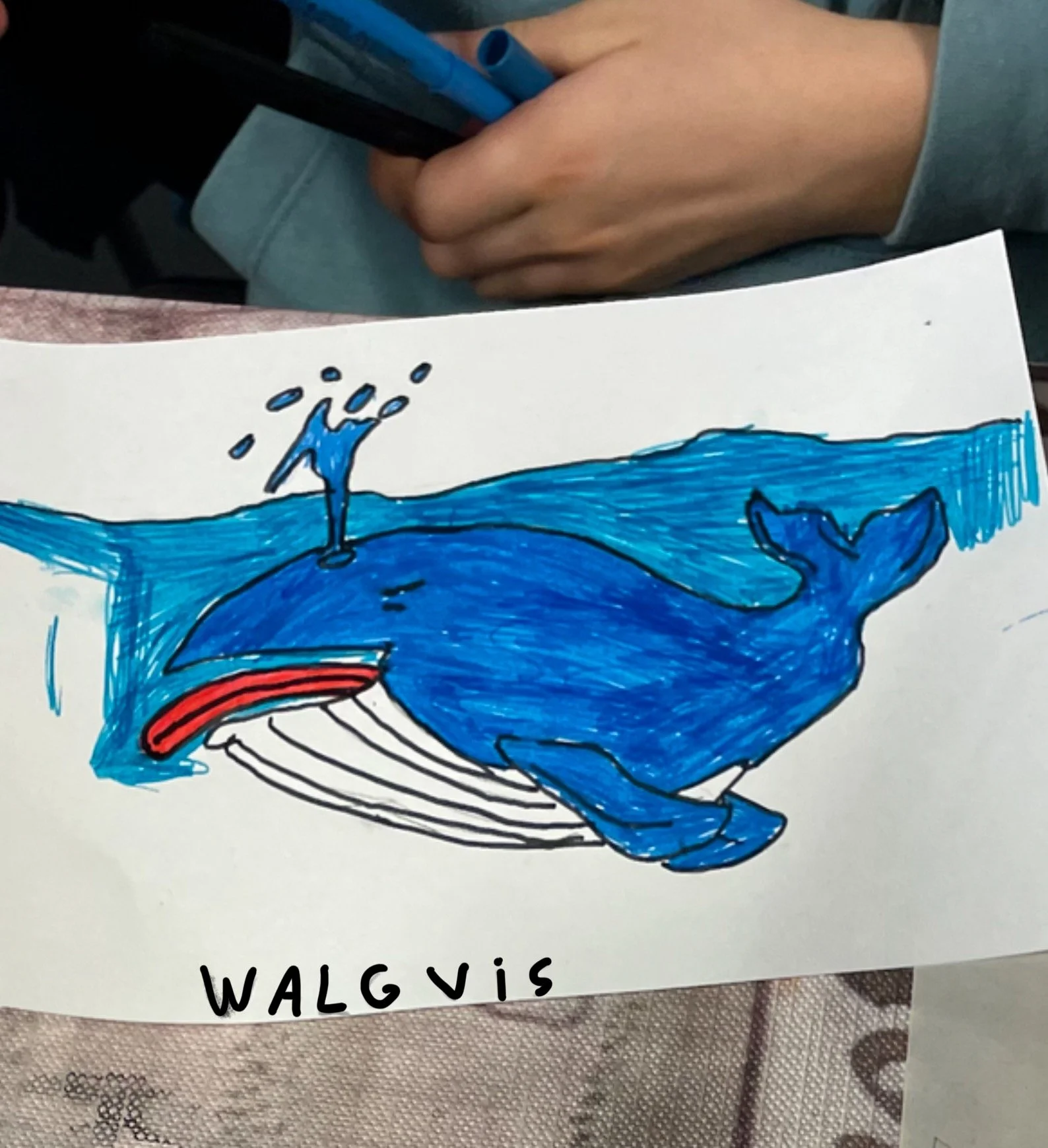 walgende walvis getekend tijdens een workshop dierenwoordgrapjes voor kinderen