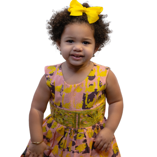 PERA MARBLE SWAN Print African Wood Block Embroidered Pink Yellow Purple Ruffled Toddler Girls Dress