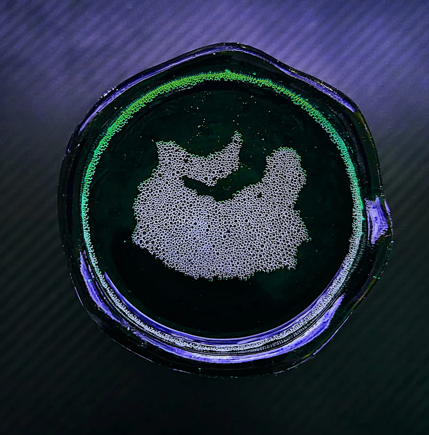 Jeions