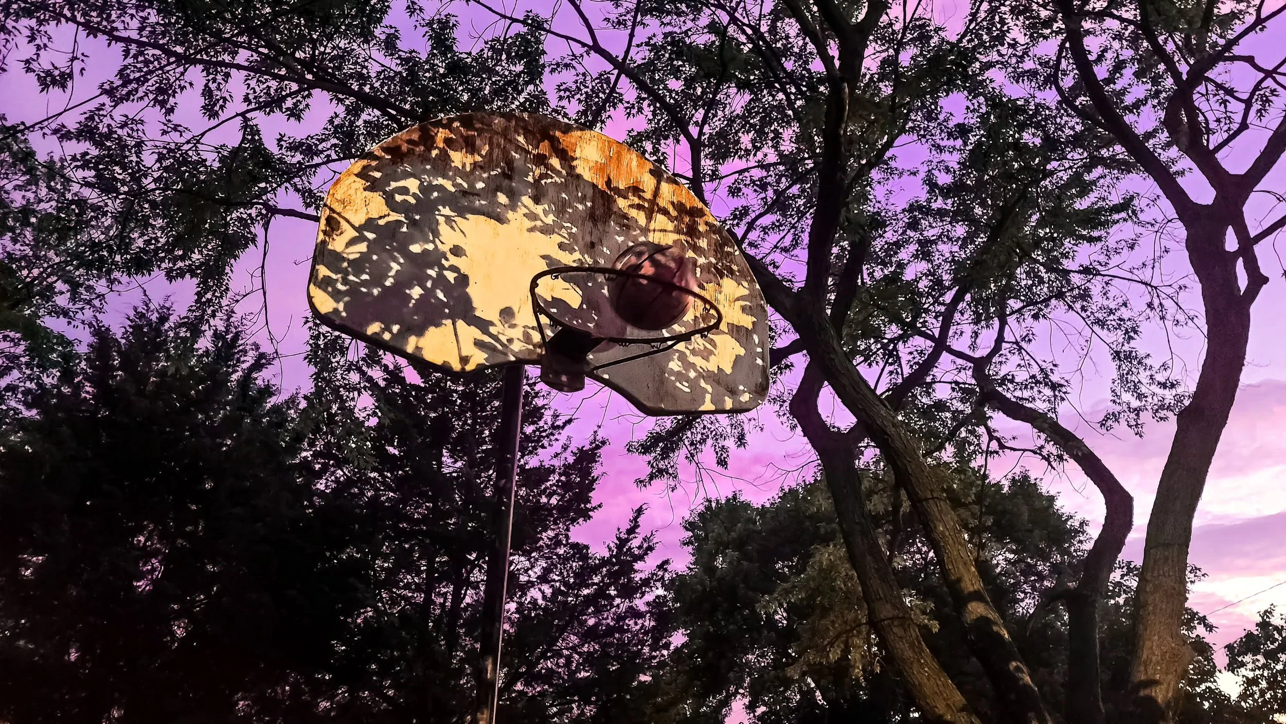 Gesto Apparanthem Voluntas Auctum.

Copyright Jeion Green, All rights reserved 2014-2026.

#Art #Photography #Performance #Gestoapparanthem #jeiongreen