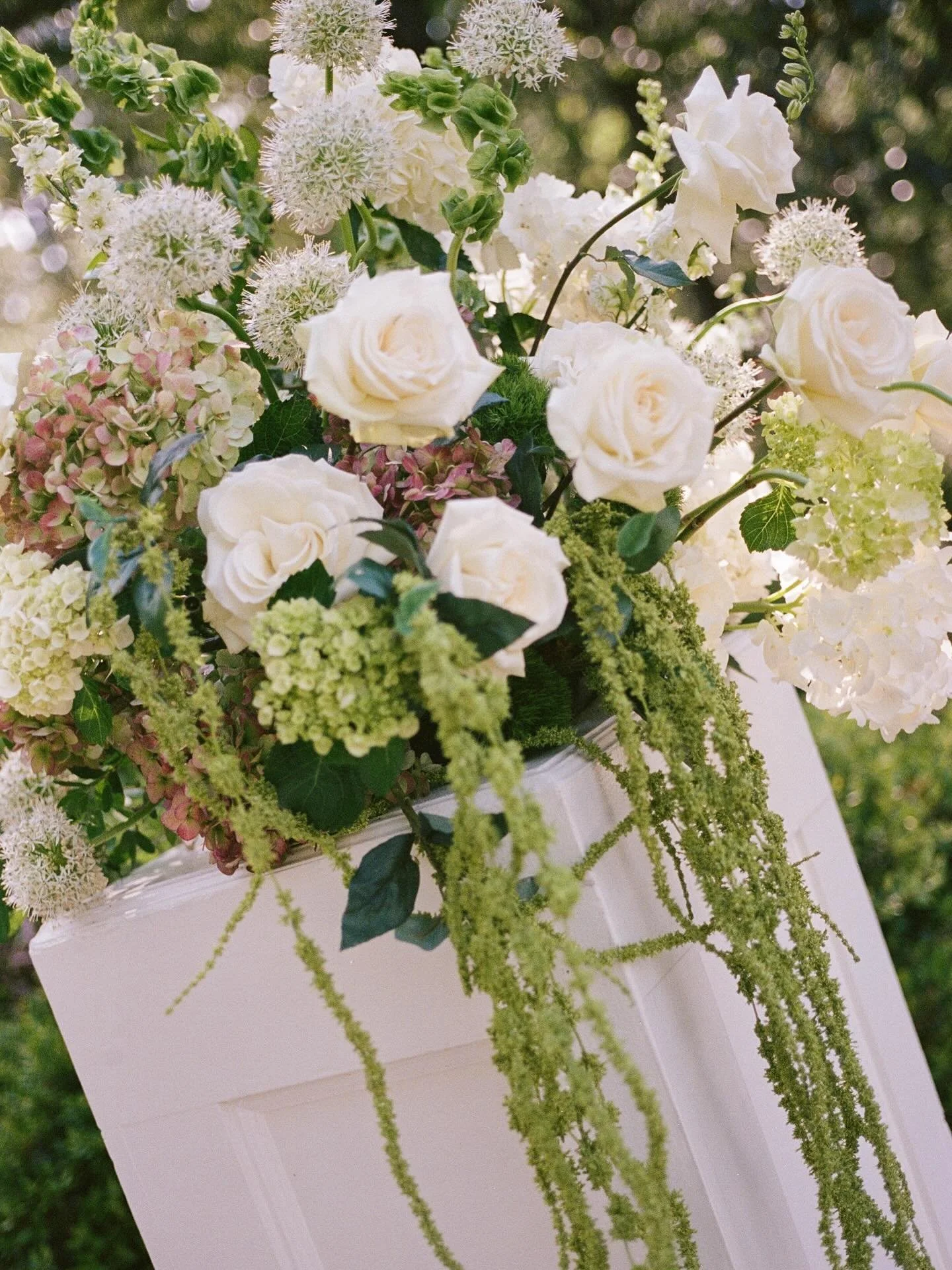 Florals on film 🎞️

Florist: @statice.event.design 
Planning &amp; design: @manifestevents_co 
Venue: @waveringplace 
Photographer: associate photographed for @annagracec 
Rentals: @nuagedesignsinc @crispeventrentals 
Catering: @southernwayupstate 
