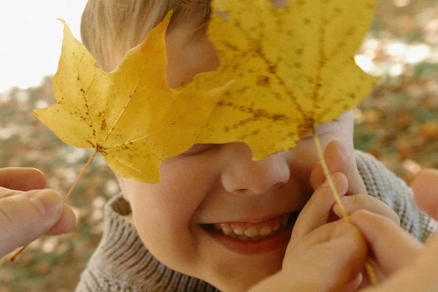 A Fall day at the orchard with the Springgate family 🍁