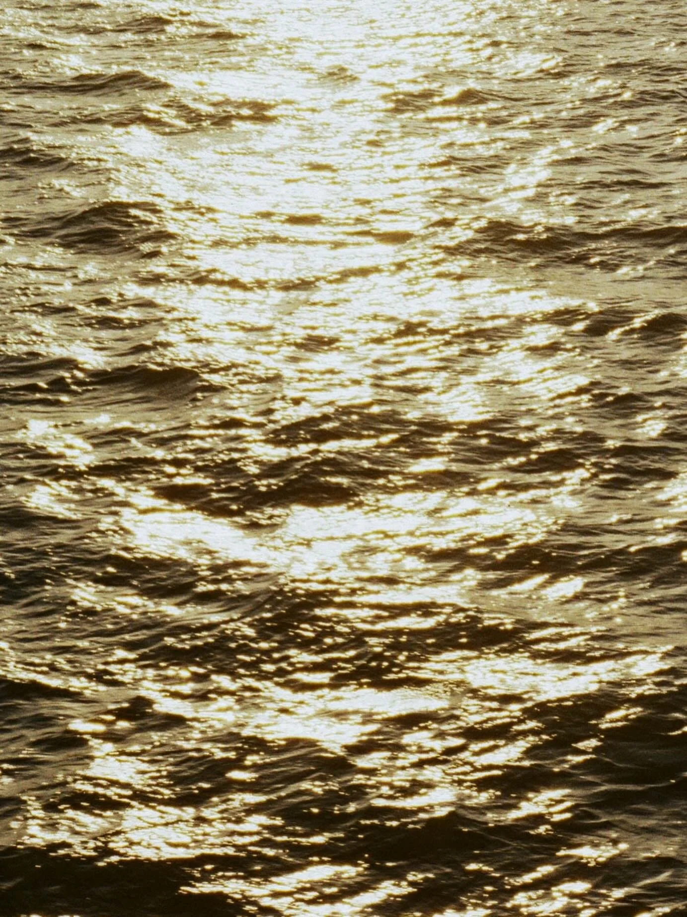 Nothing like a sunset over the water with busy season in the horizon ✨