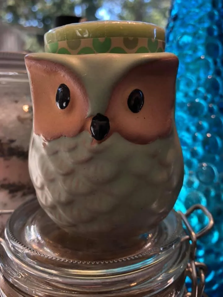 owl candle.jpg