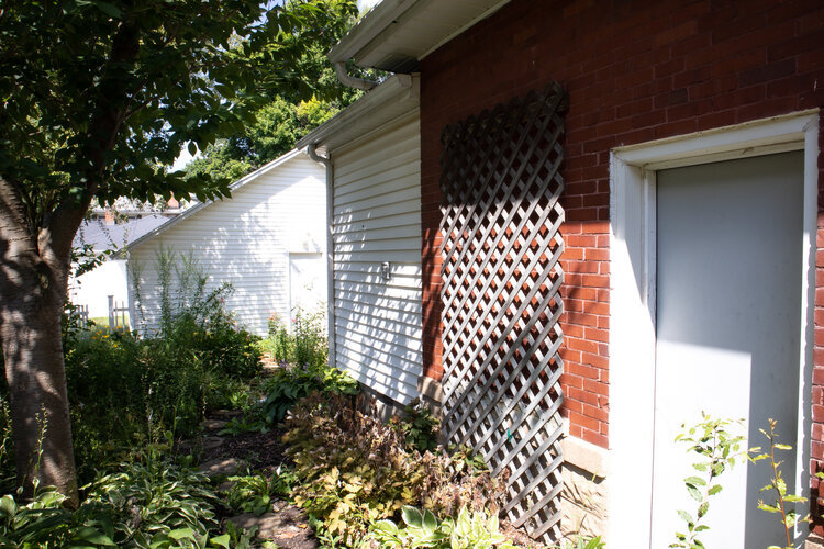BACKYARD 1 - BEFORE.jpg