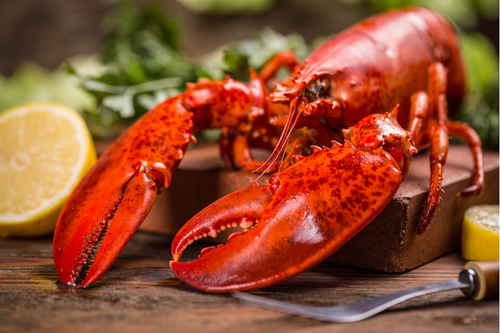 Snuggable Homard Réceptions Lalande — homards, souper, soirée, homard, homard à volonté