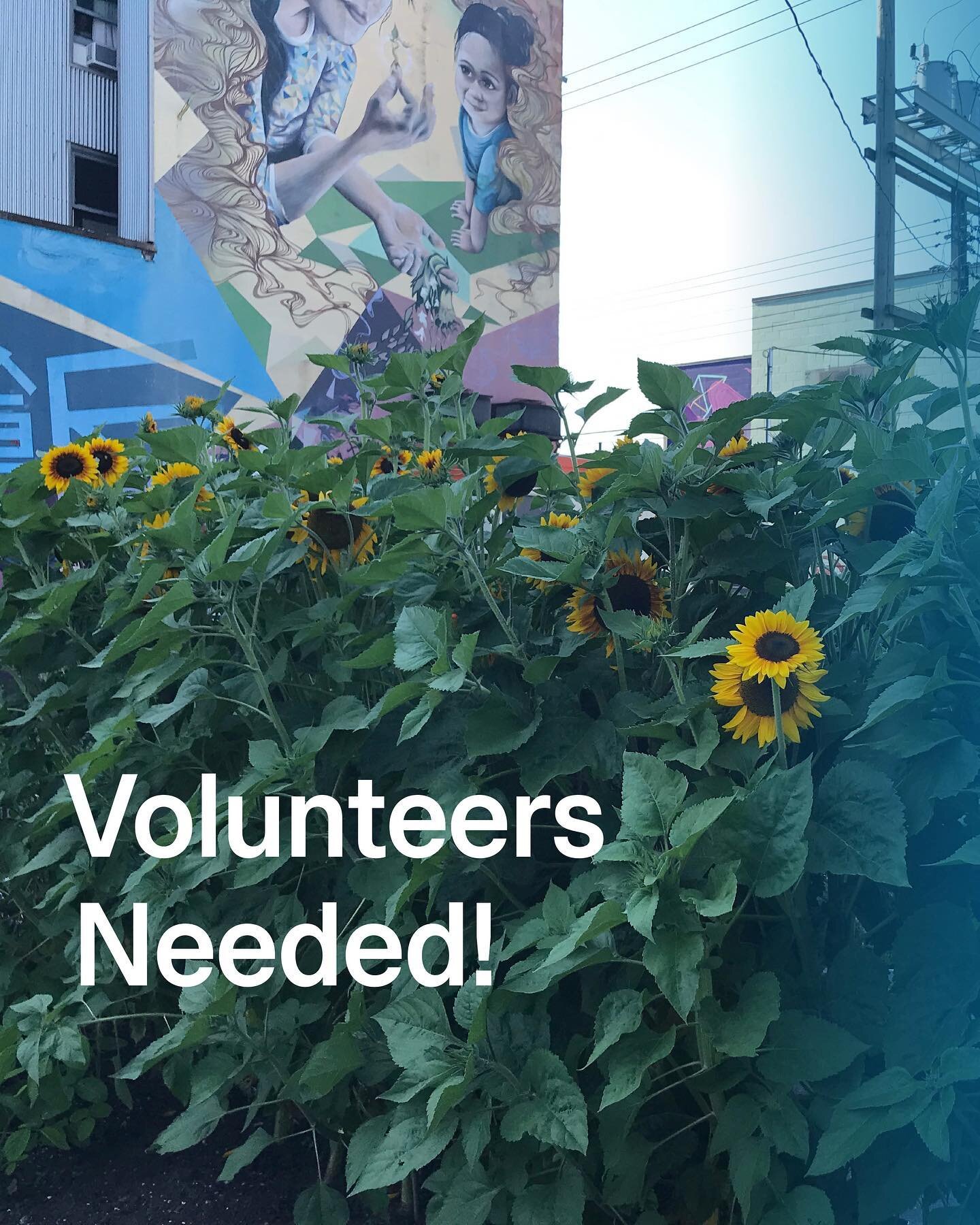 We&rsquo;re looking for volunteers to help with a fundraiser for the Urban Farm! The positions are: On Call Drivers (July 25-31) and Special Project Farm Volunteer (July 28 afternoon). For info on these volunteer opportunities and more, visit dtesnho