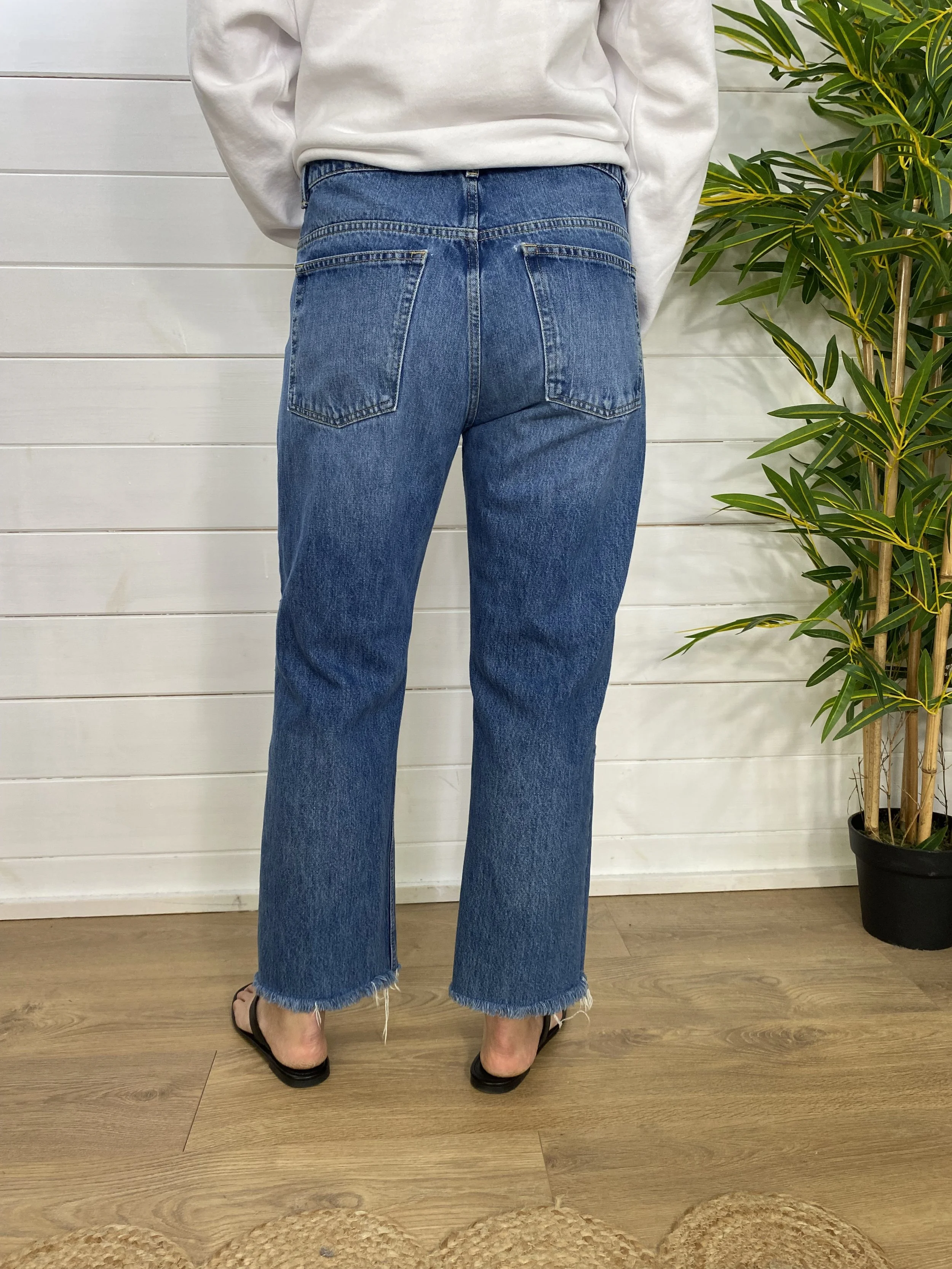 IMG_8199.jpeg
