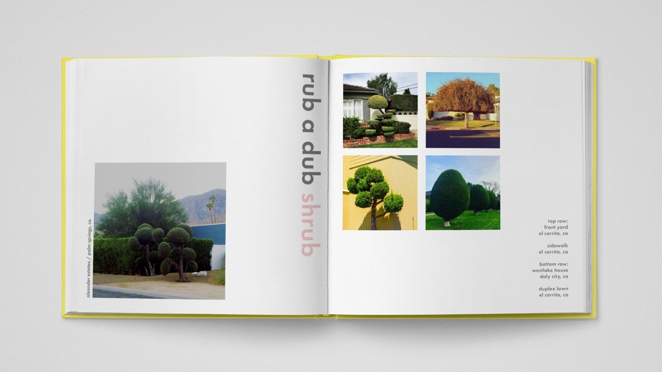 scissorhands - "rub a dub shrub" (photog - m. aguilar)