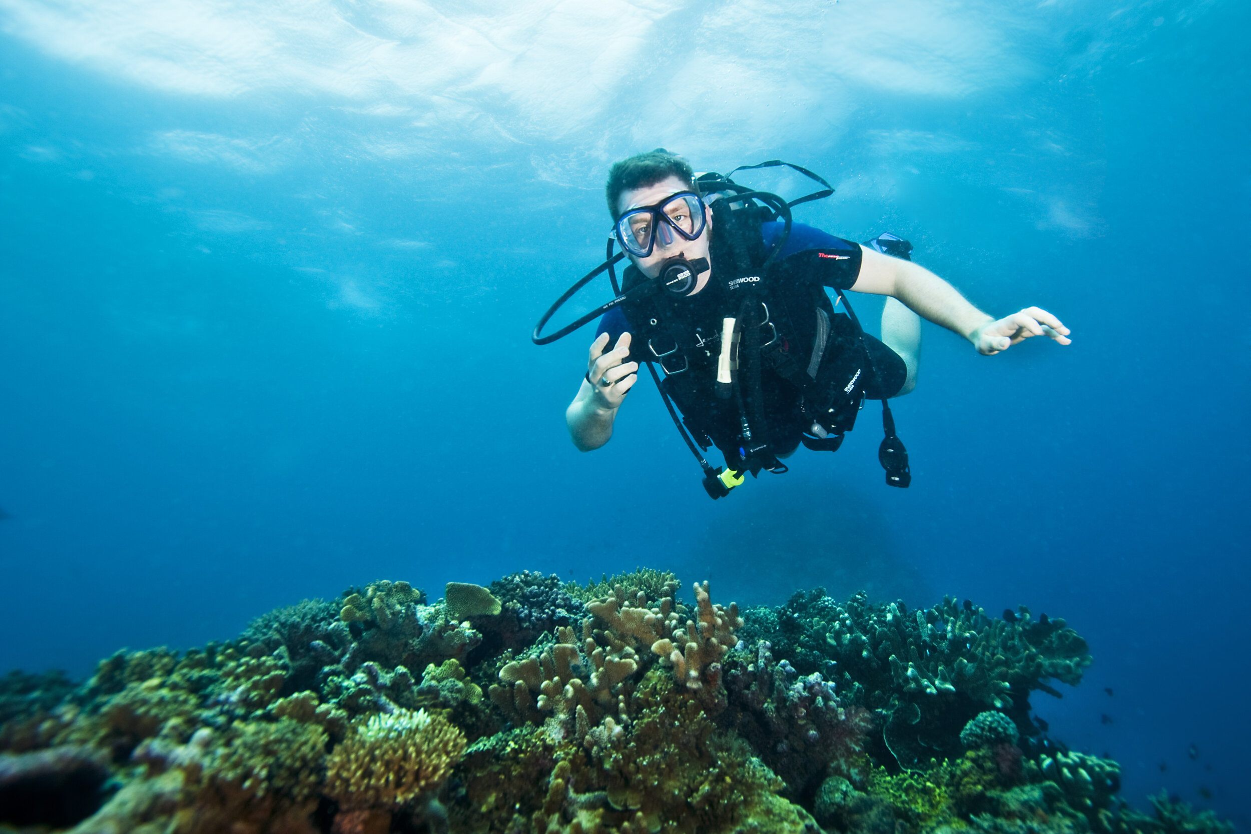 Learn to Scuba Dive  Blue Oasis Dive Centre
