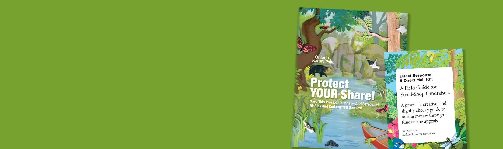 aog banner 02:26.jpg