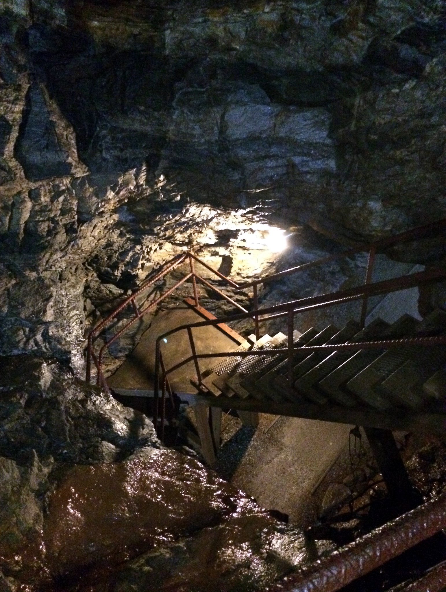 Consolidated Gold Mines