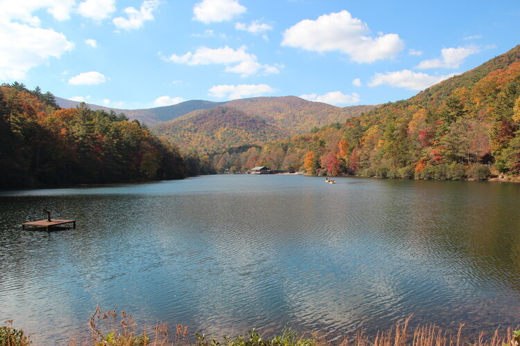 Vogel State Park