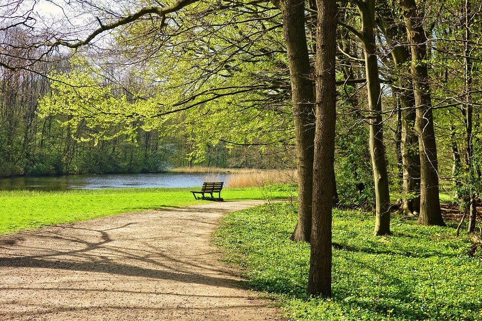Yahoola Creek Park