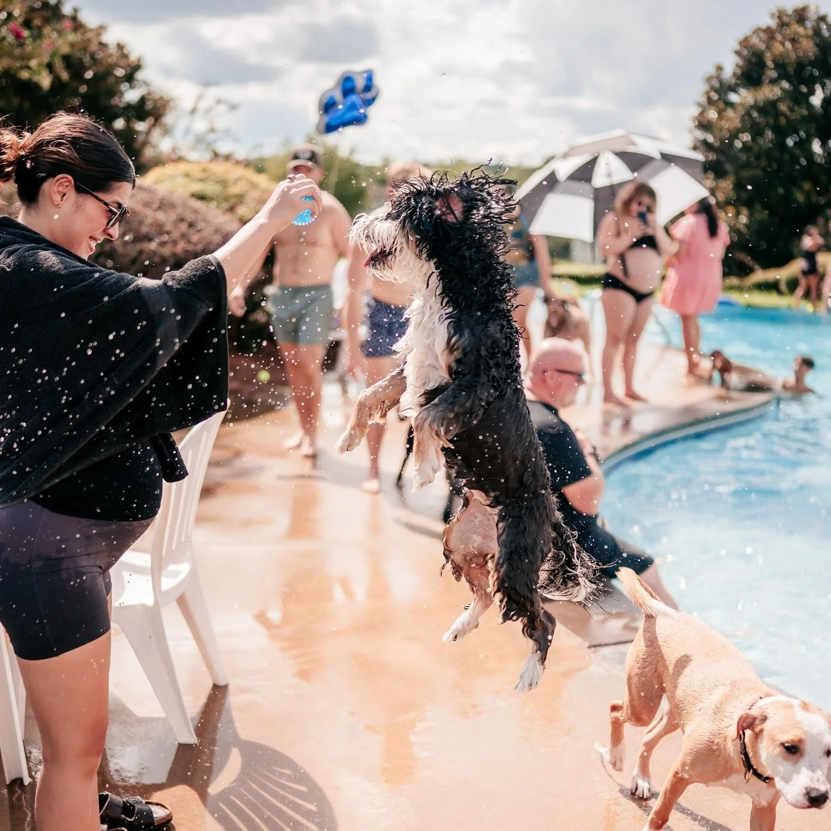 Pooch Plunge Brings One Last Splash of Summer to Heritage Landing