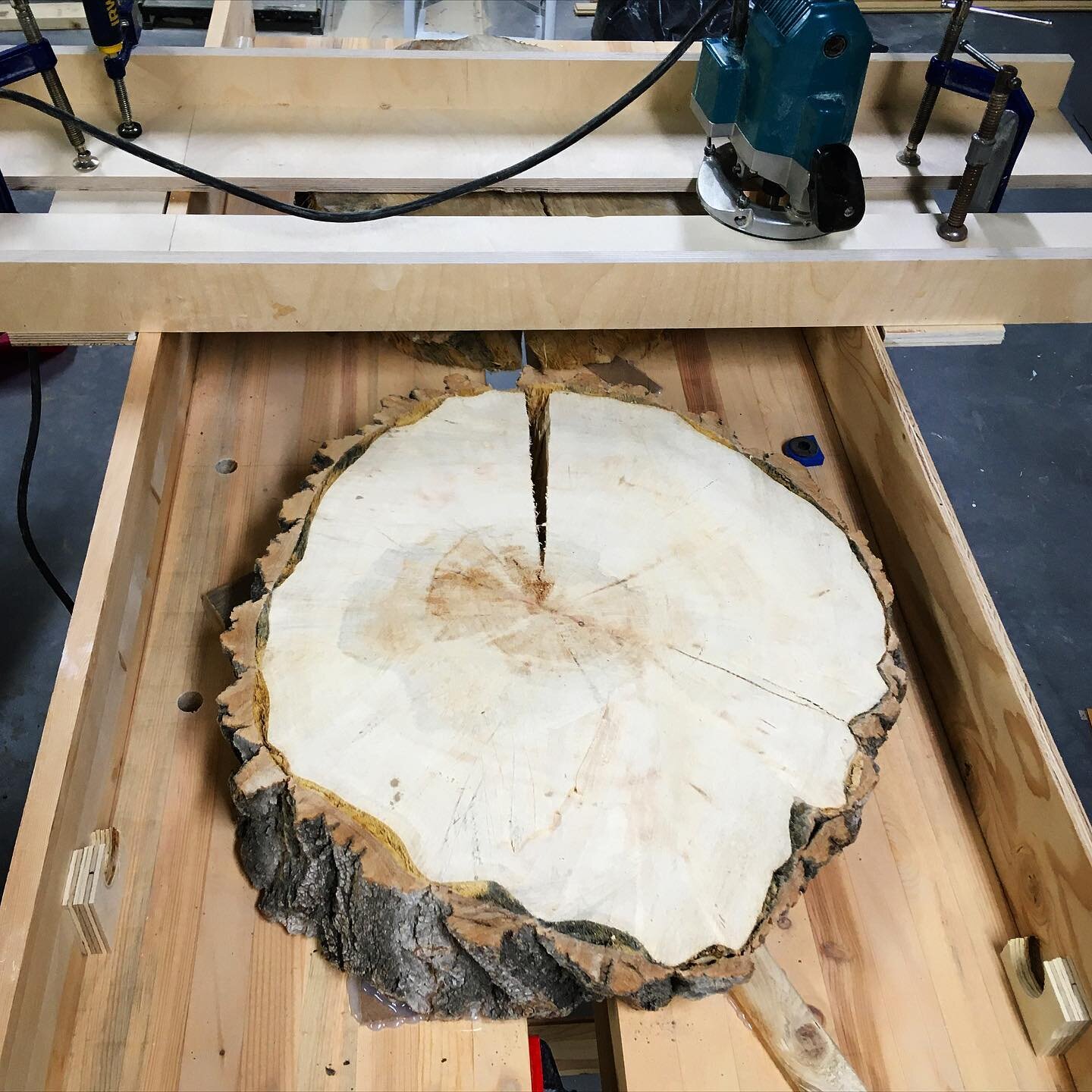 We use a router sled to flatten larger pieces, such as this tree cookie that became one of our into the woods side tables