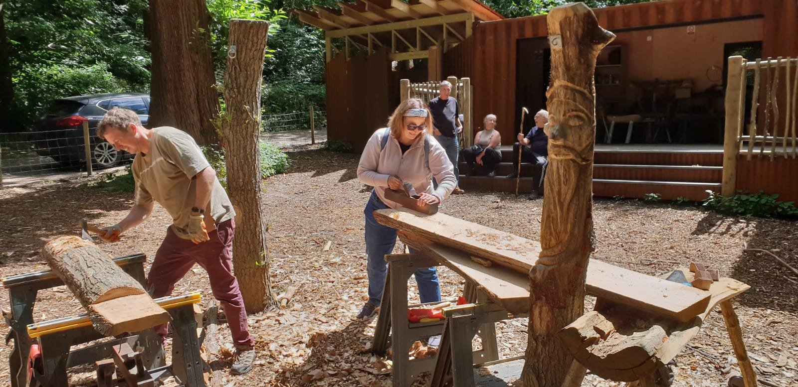 Woodland Clearing workshop.jpg