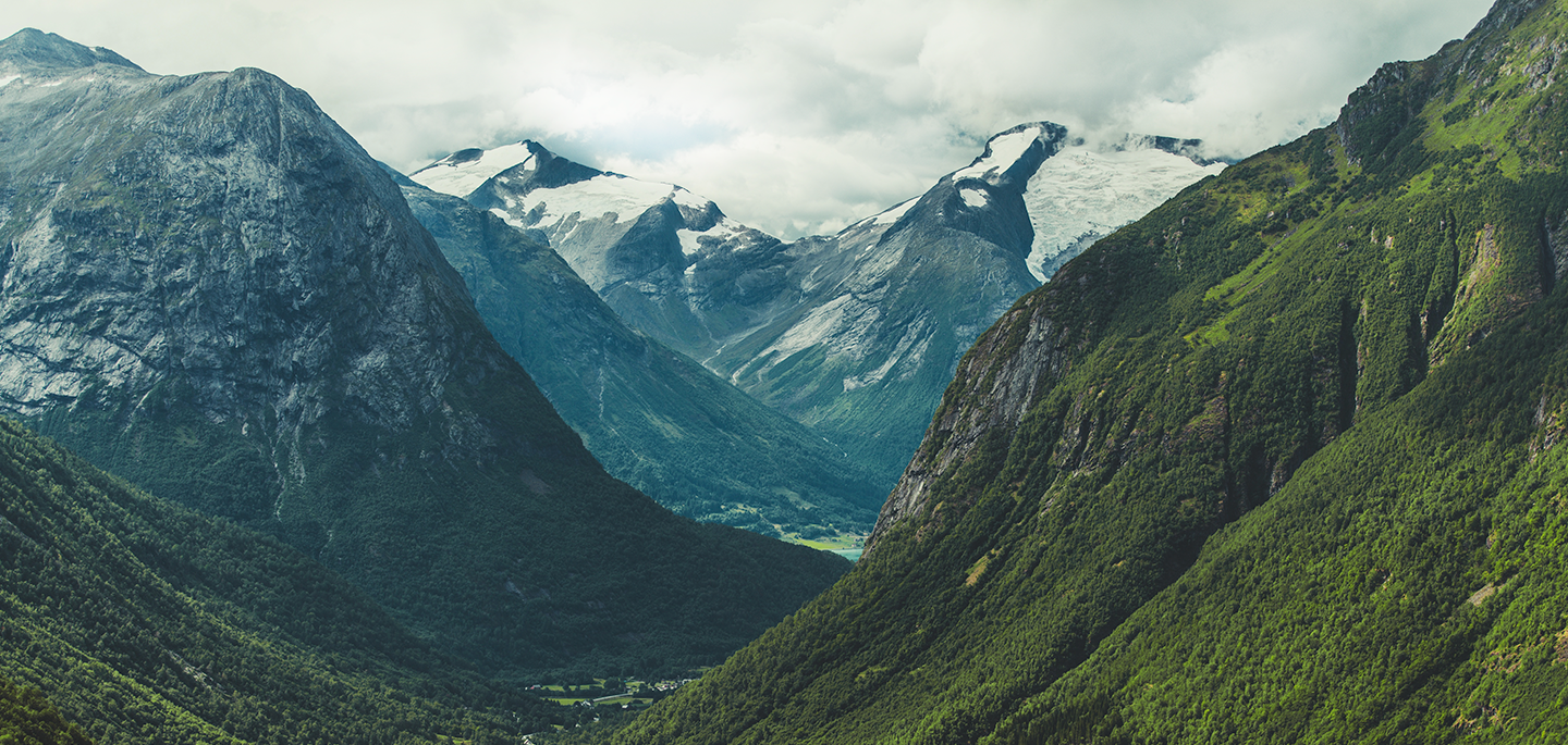 header.png