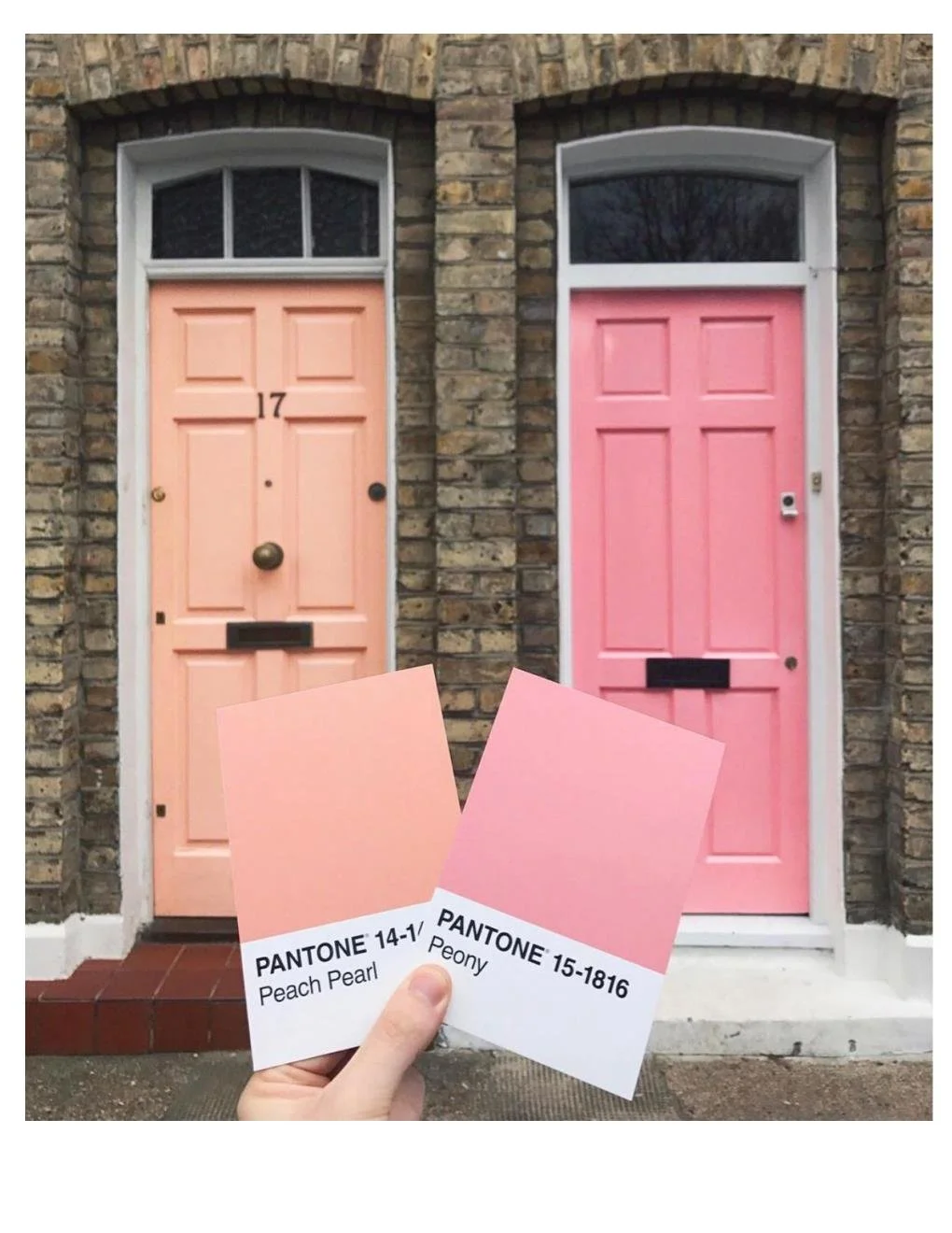 HHDoors.jpg