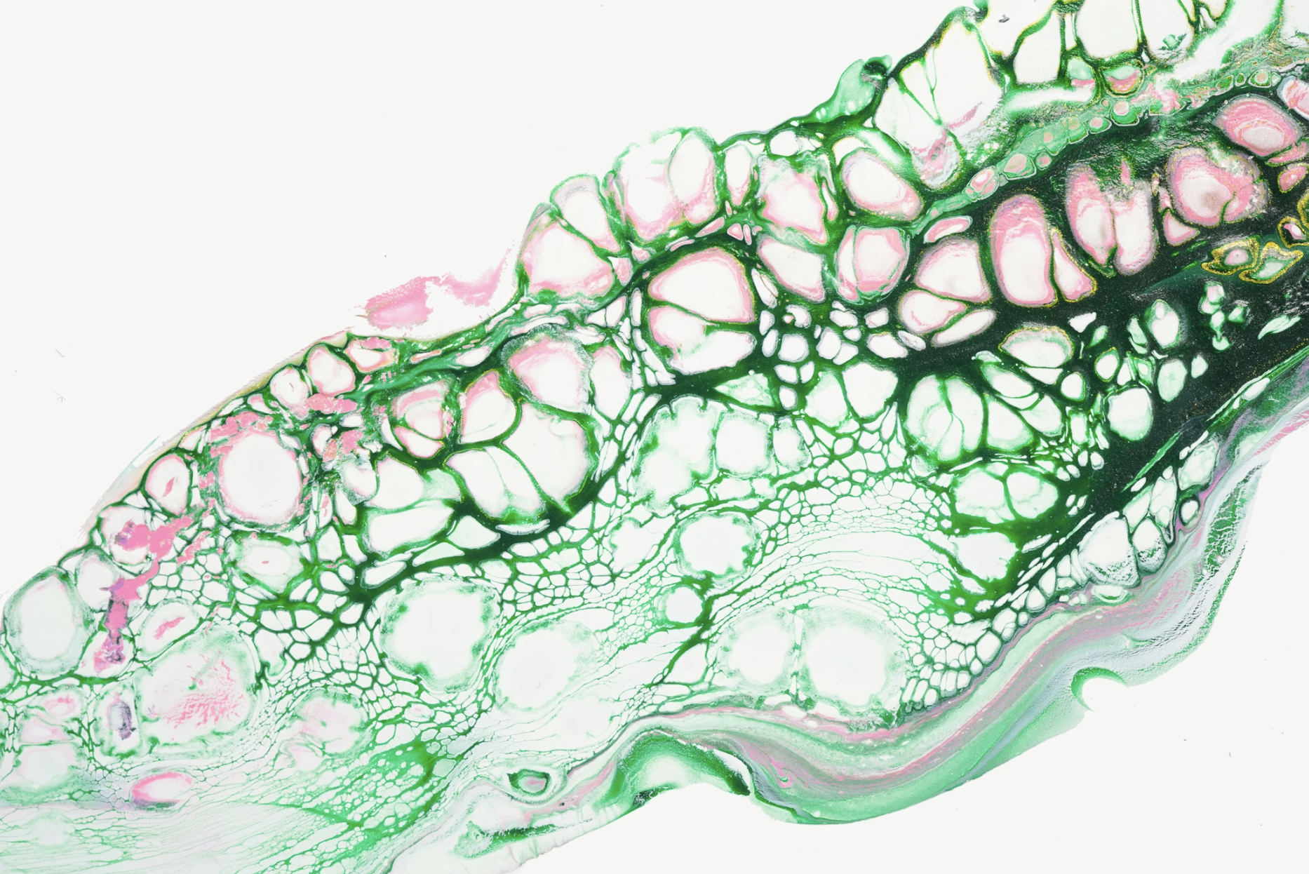 Mitochondrial Dysfunction and Chronic Disease: Why Energy Is at the Root of So Many Symptoms