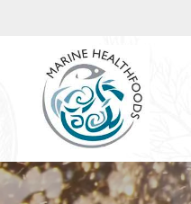 Screen Shot 2024-05-03 at 1.06.50 PM.png