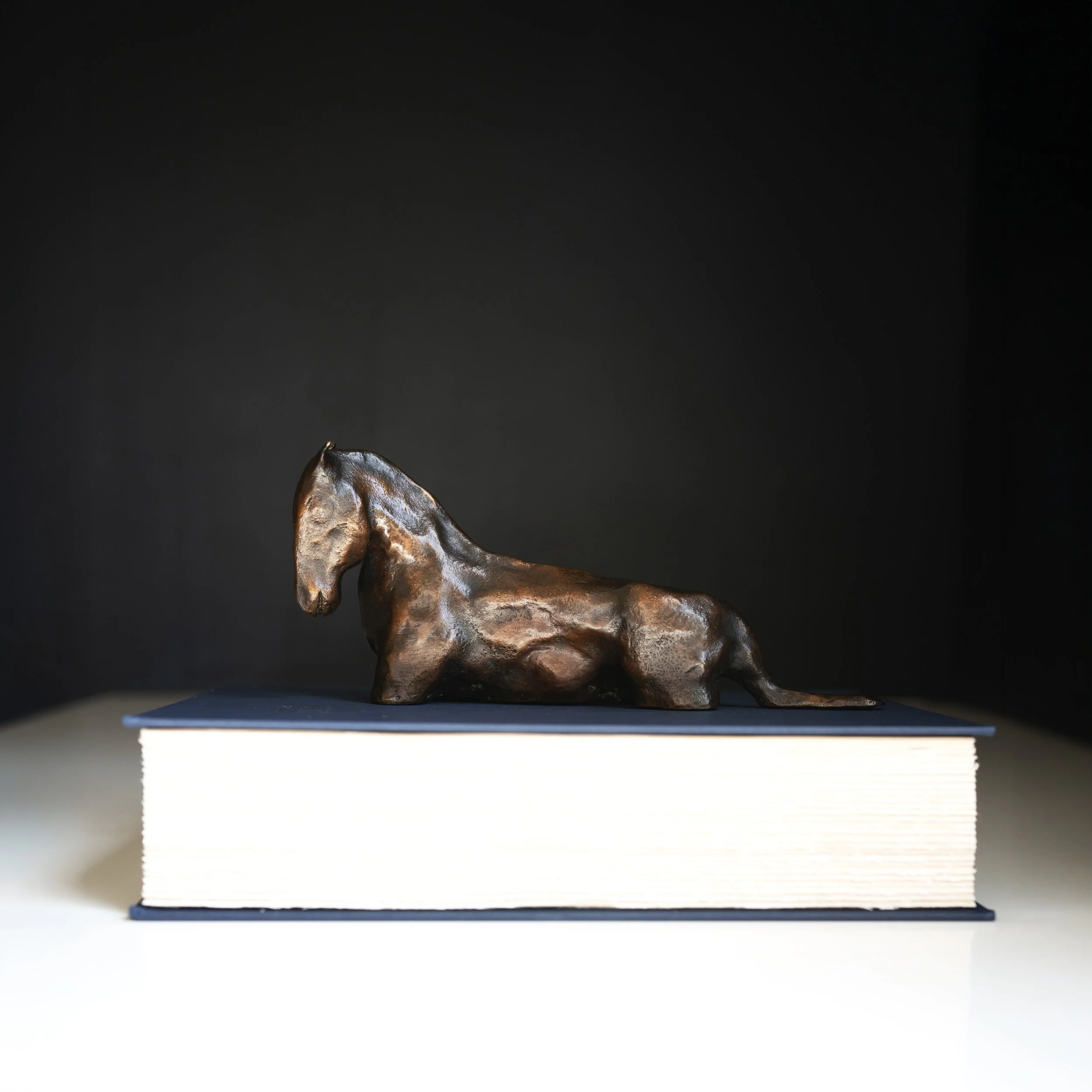 BRONZE HORSE ON BOOK.jpg