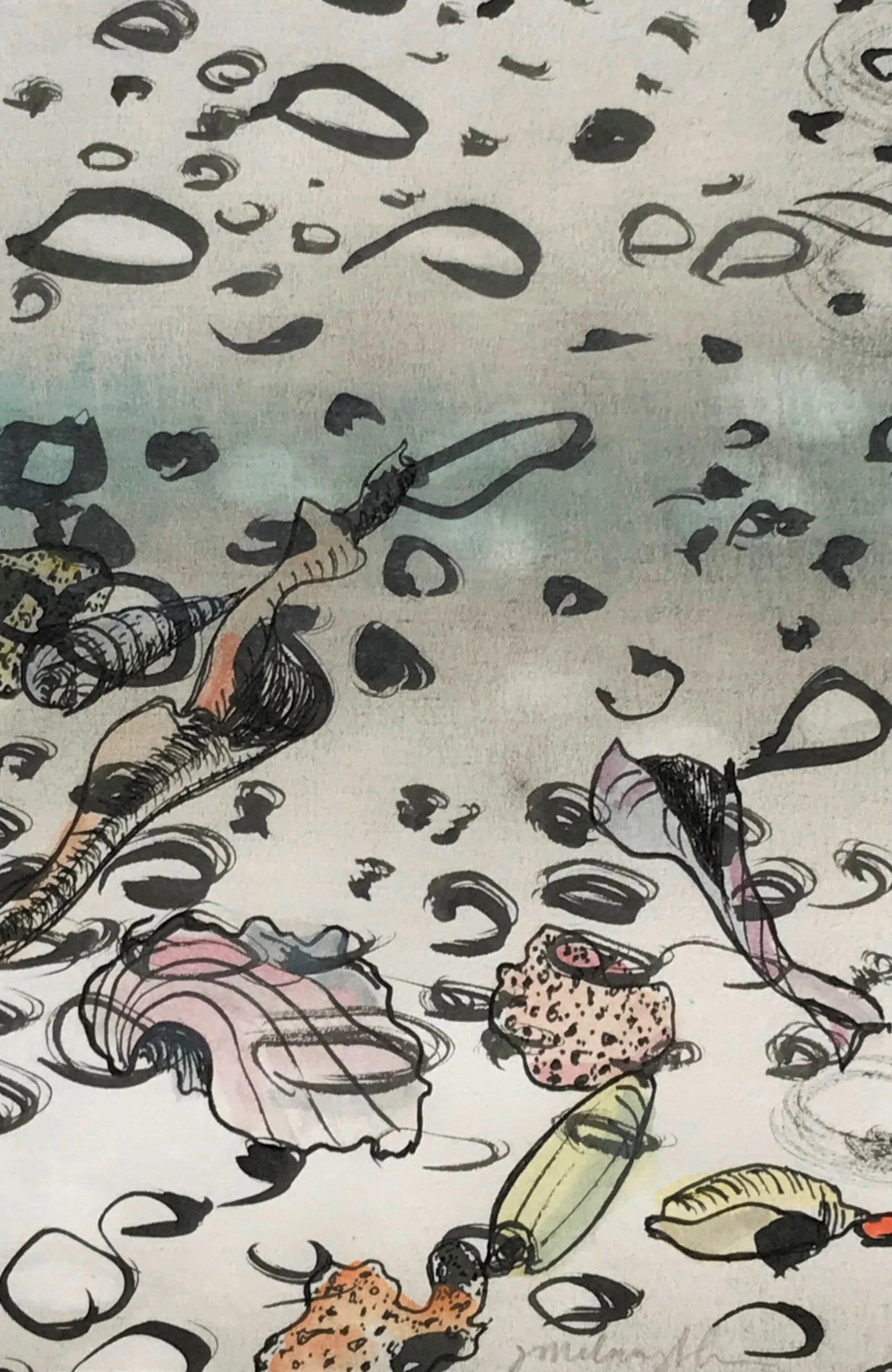 Untitled shell study 3 – 4.25 in w x 6 in h – 2020 *