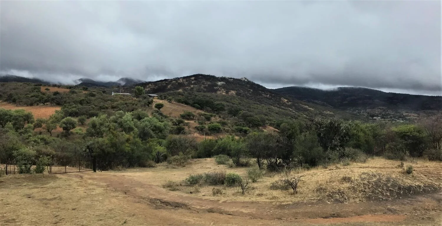 Fieldnotes — Jean W. McLaughlin