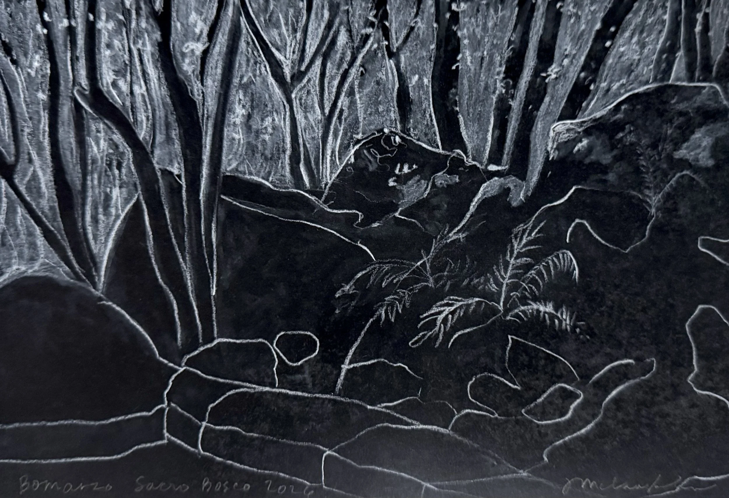 Sacro Bosco landscape, 6 x 9 inches, 2026, white charcoal