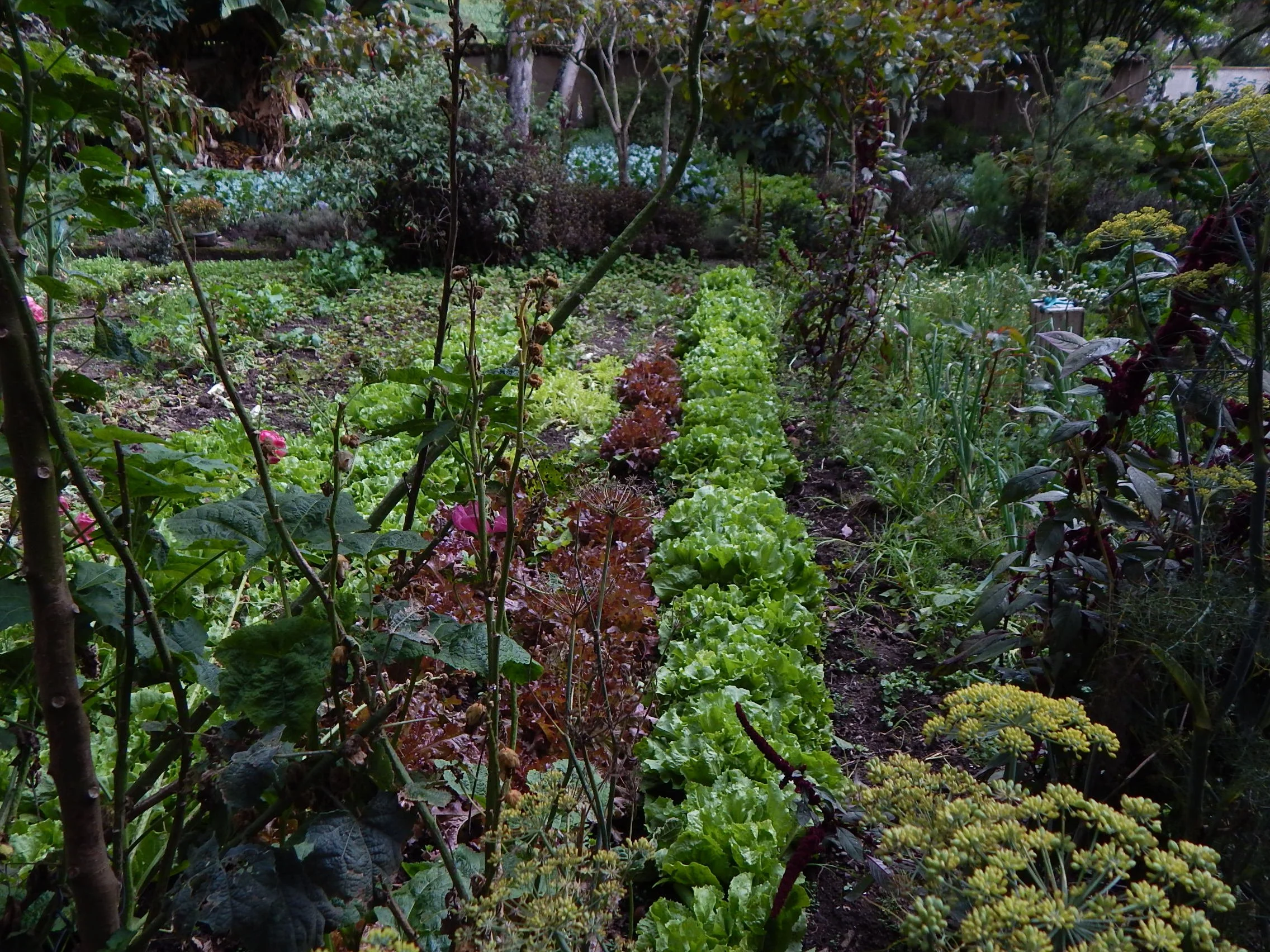 Garden at convent hotel outside Quito, Ecuador