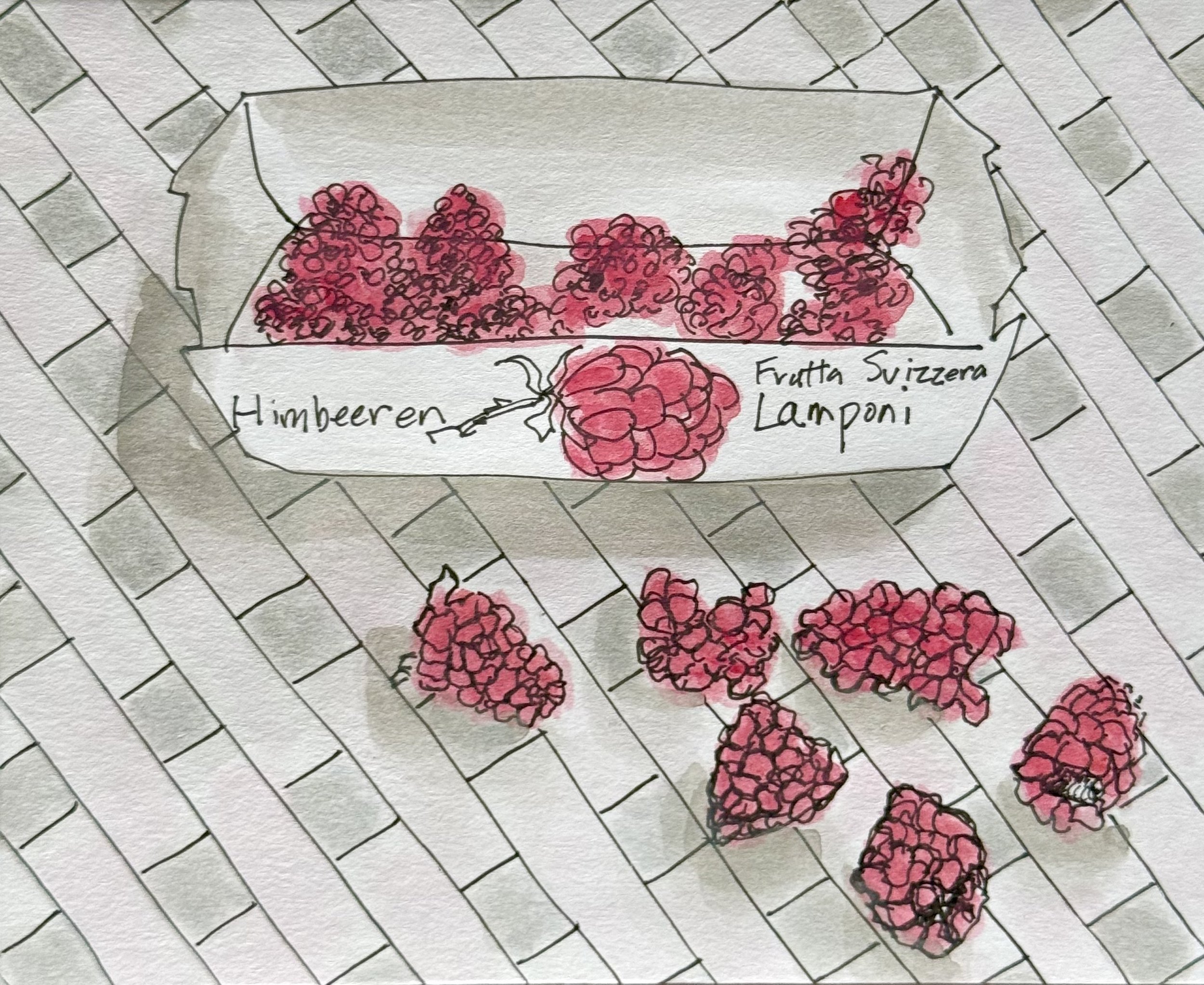 Raspberries from local farm, Aarau, Switzerland, 2026, 5 x 7 inches