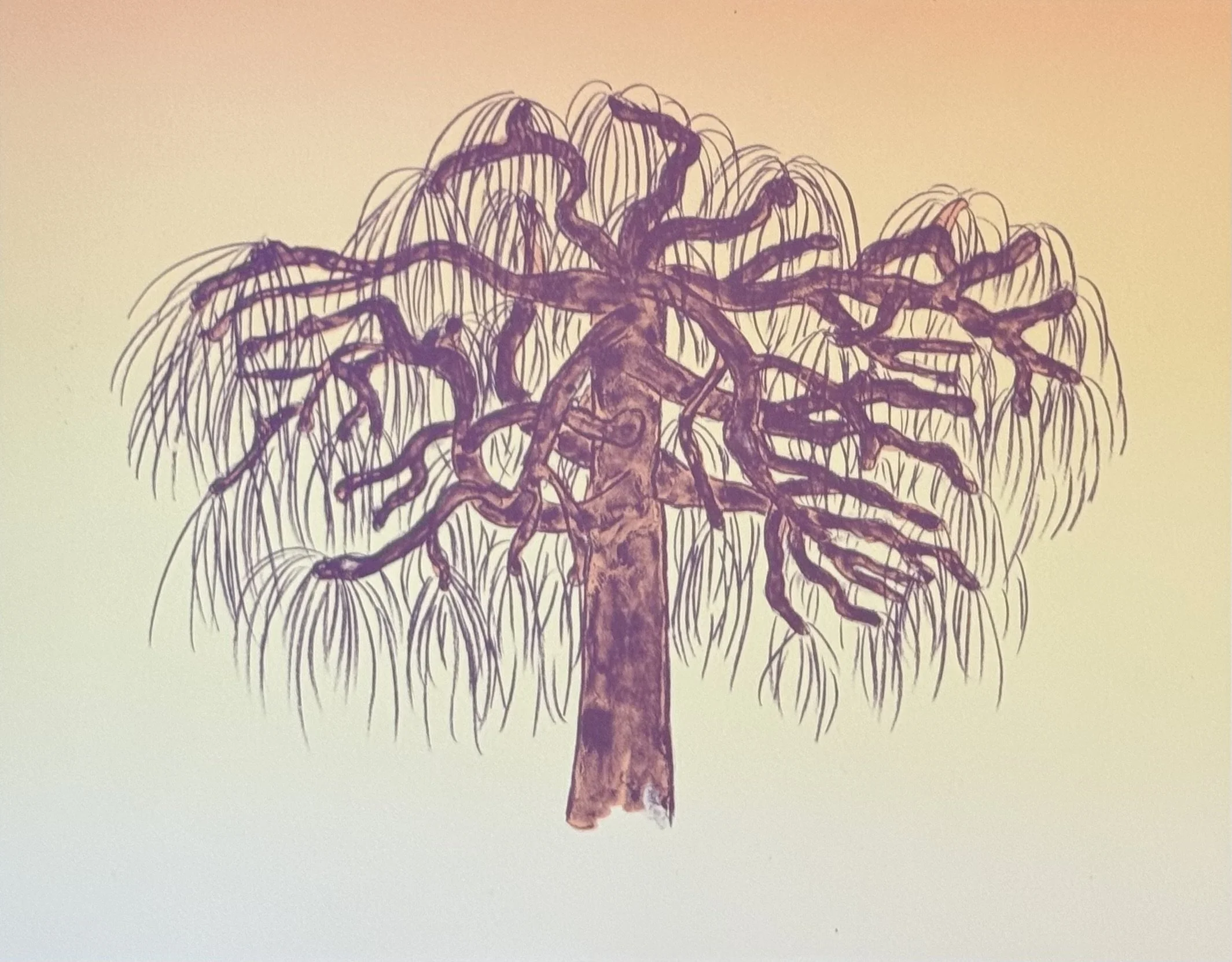 The Cherry Wept, lithograph, 2026, weeping cherry on NC226, 11" x 14"