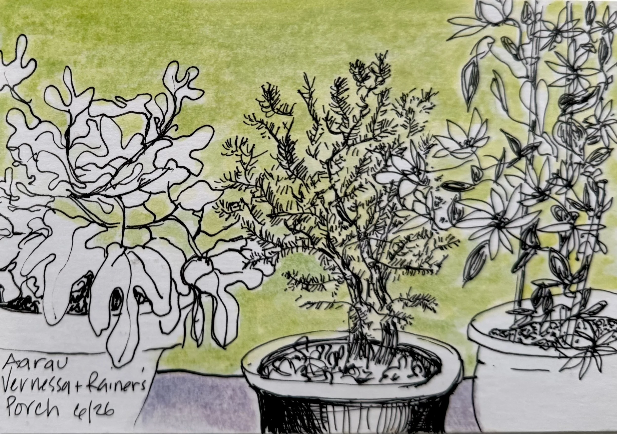 Foelix porch garden, 5 x 7.5 inches, ink and watercolor, 2026