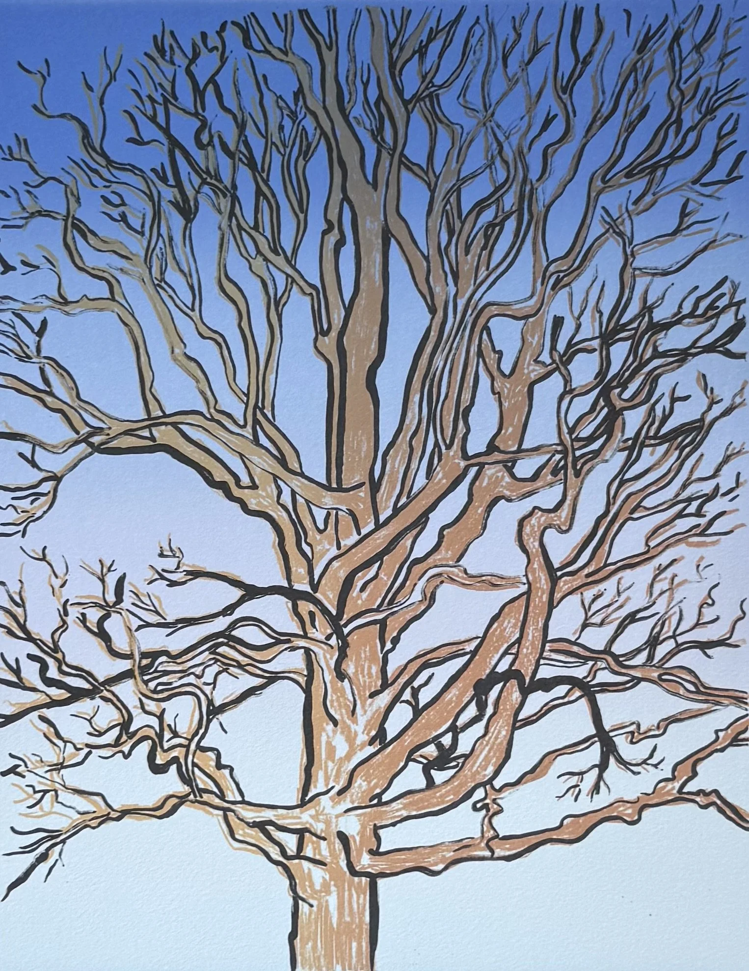 Standing Strong After The Storm, lithograph, 2026, Bakersville NC, 11" x 14"