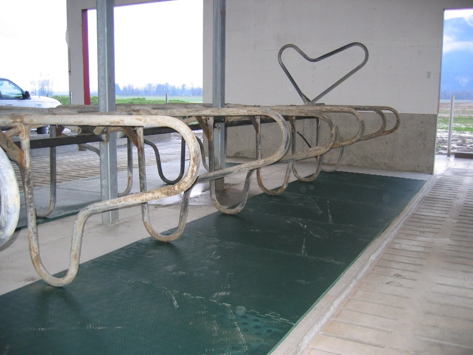1 Best Mats for Cows in Canada and America — Equimat North America