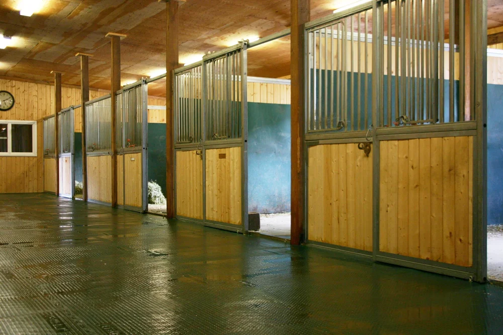 Barn Aisleway Mats — Equimat North America Best Theraputic Stall Mats