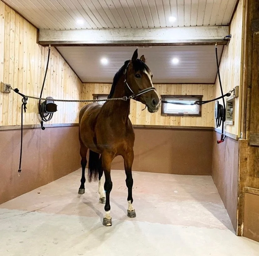 Horse+Stall+Mats+Cross+Ties+Wash+Box.JPG
