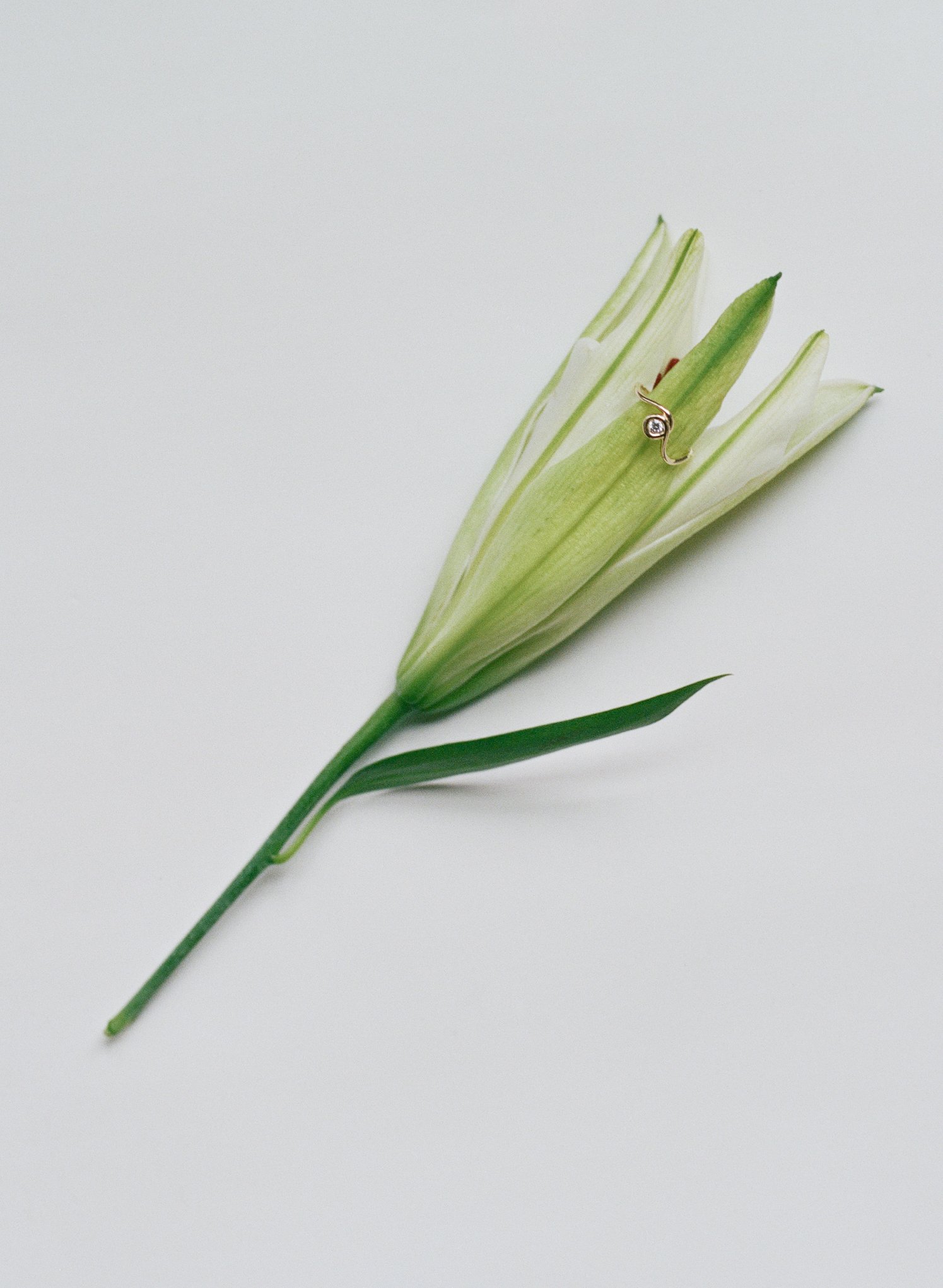 2602 AETHER STILLS -2.jpg