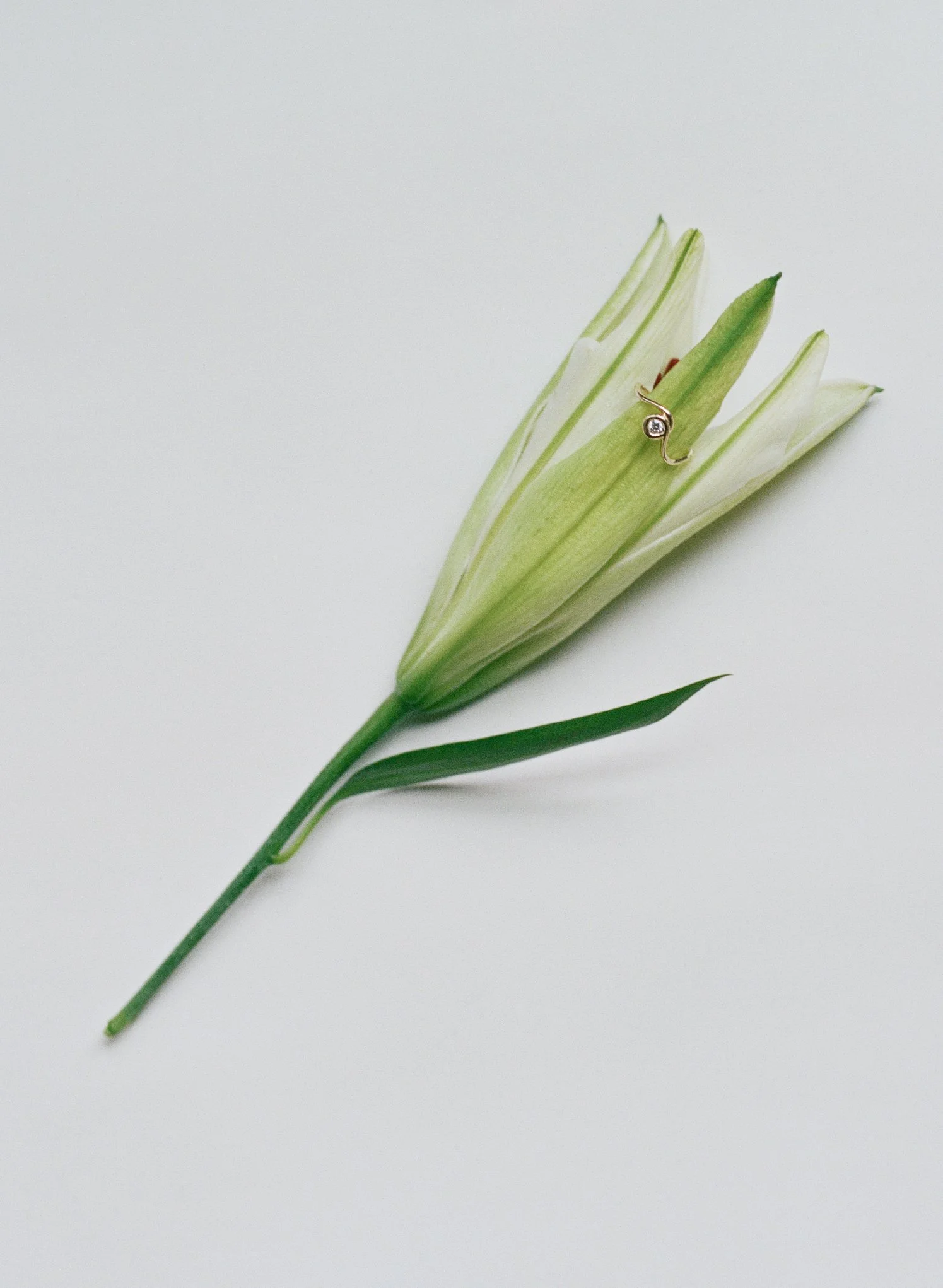 2602 AETHER STILLS -2.jpg