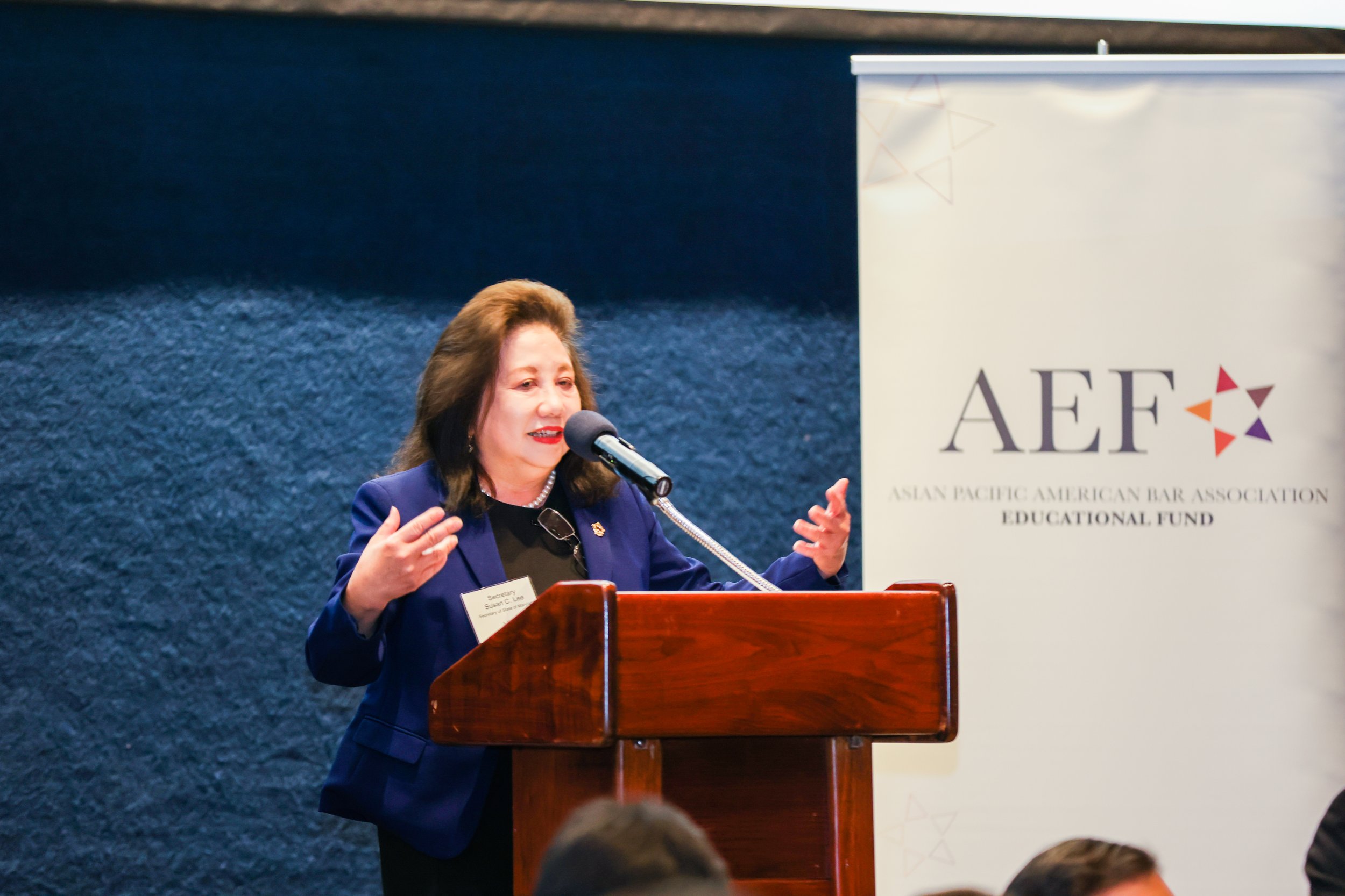 2023-AEF-Benefit-Dinner-74.jpg