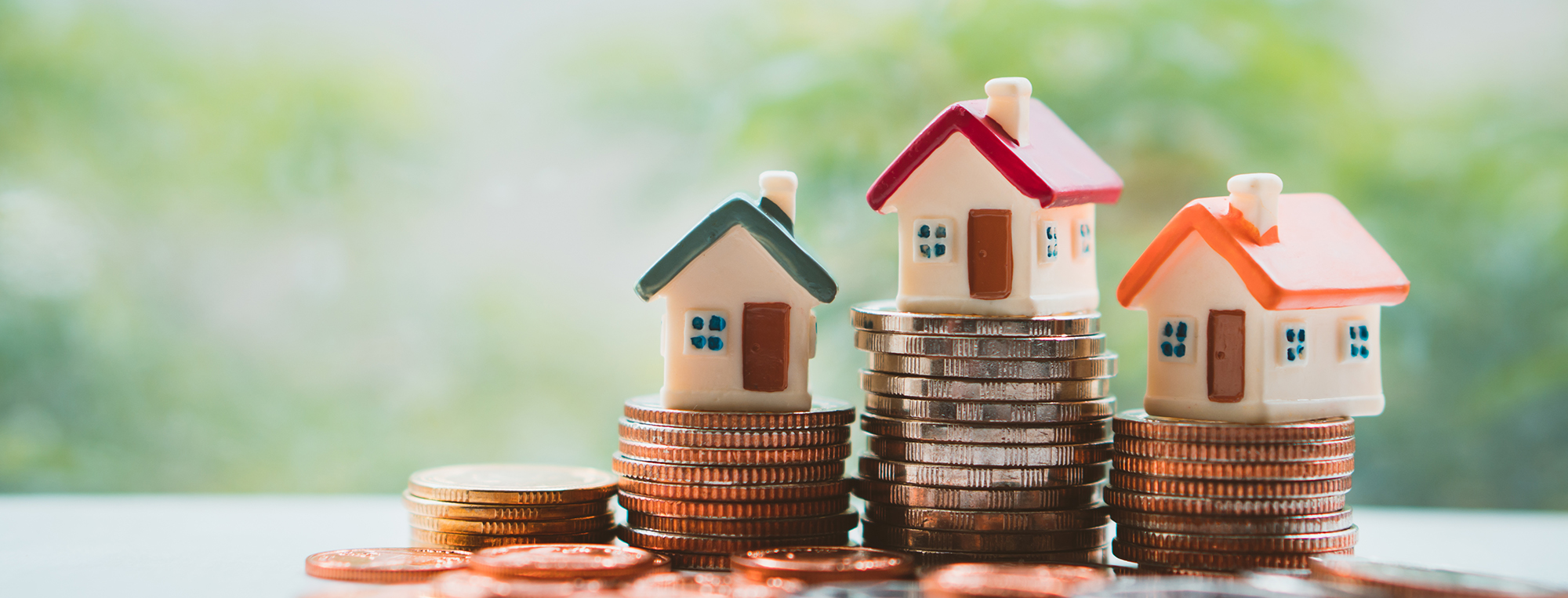 NovWebsite Banner.png