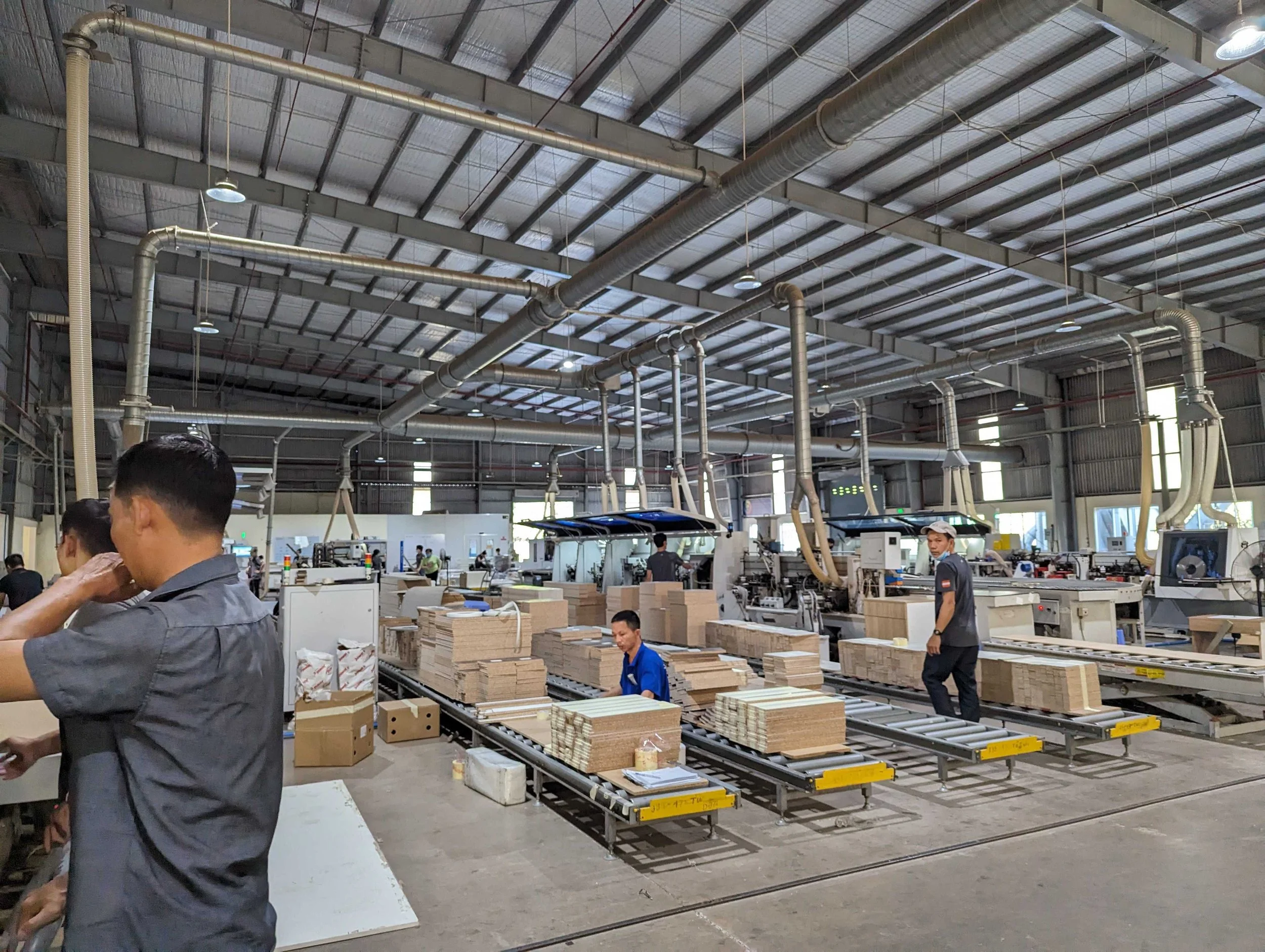 What is the Lacey Act? // What Wood Importers Need to Know