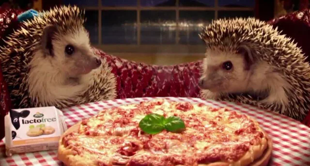 Lactofree 'Listen Up'