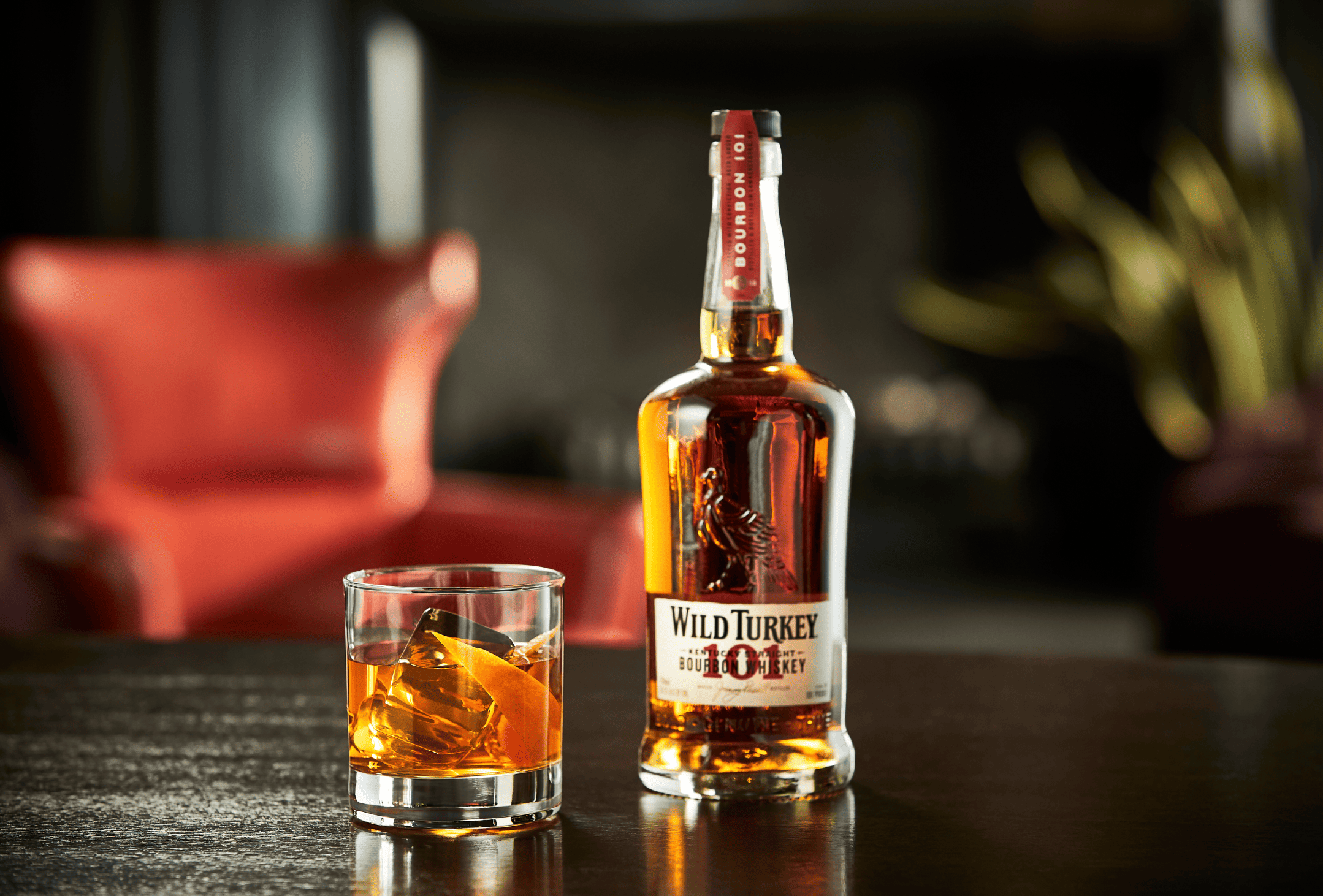 Wild Turkey