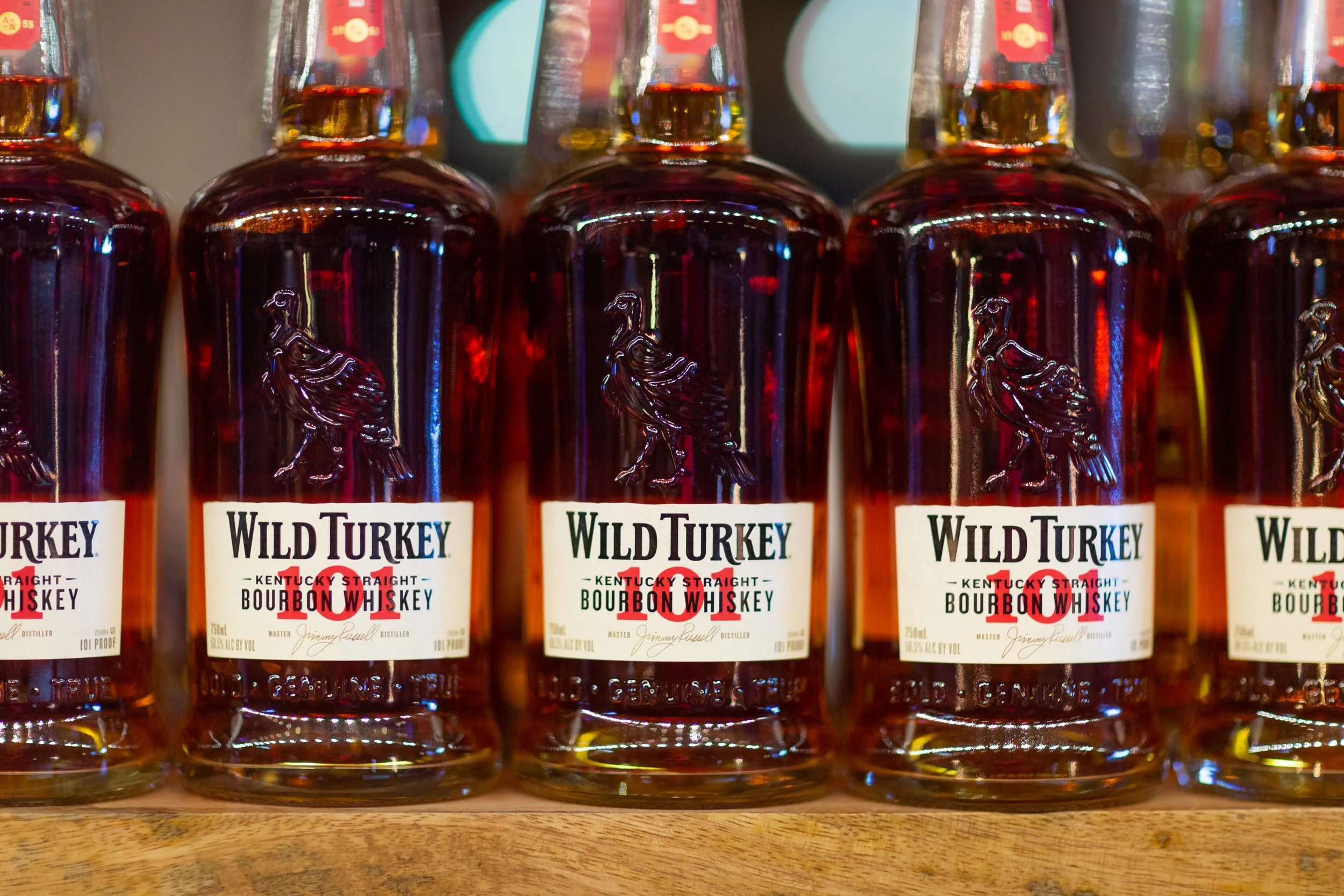 nm20211105_WildTurkey-540.jpg