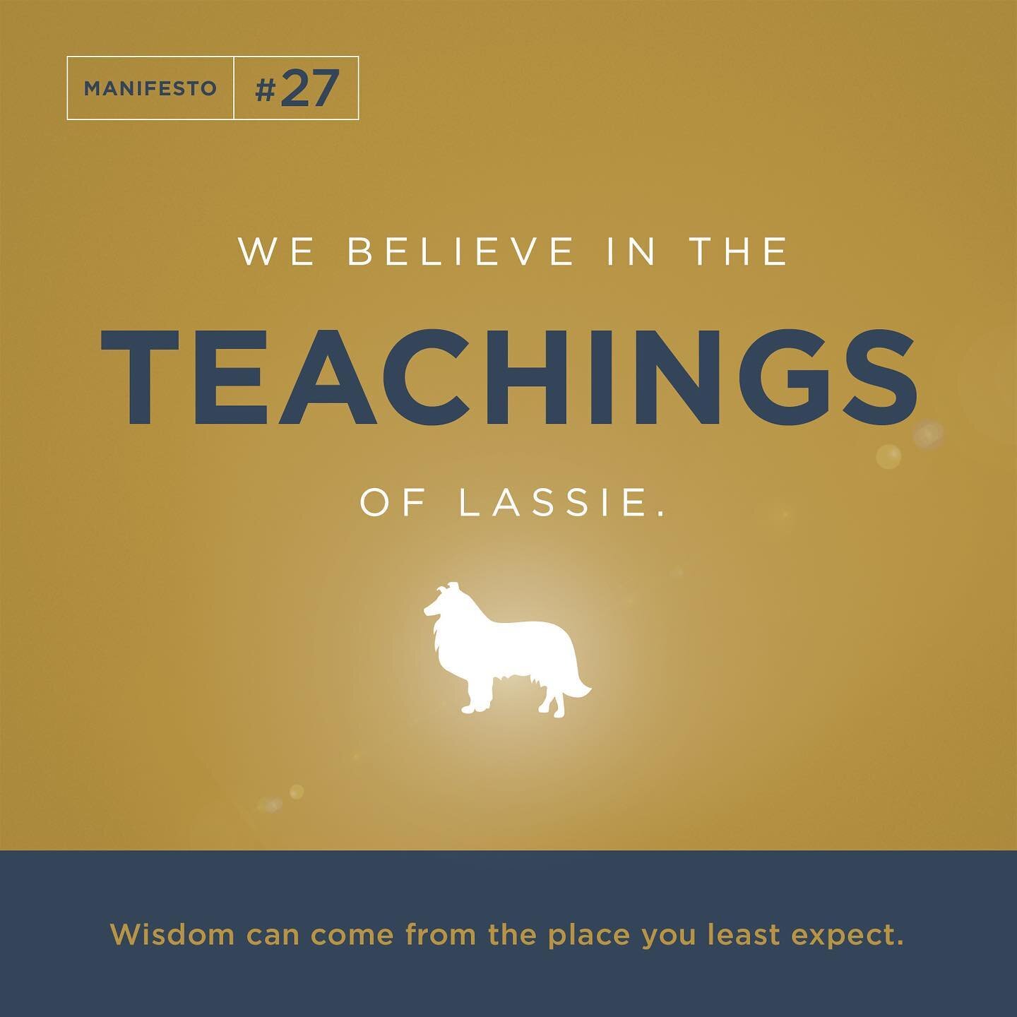 We believe in the teachings of Lassie. 
Wisdom can come from the place you least expect.
 
#WeBelieve #Brand33 #B33Manifesto #Brand #Marketing