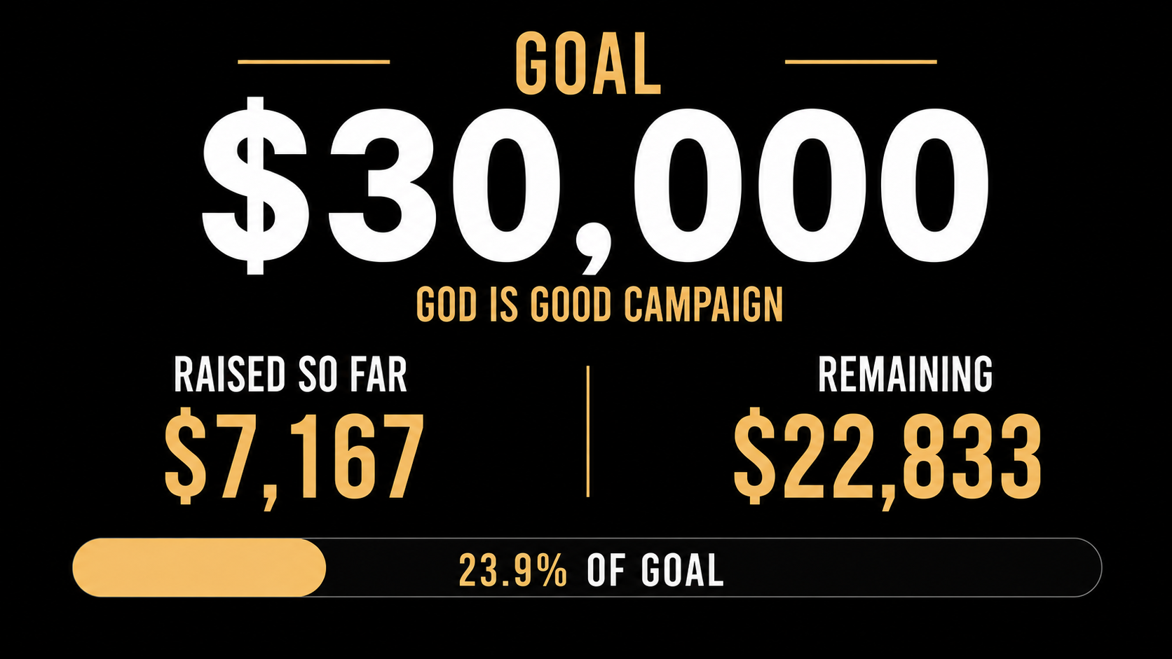 A fundraising campaign progress chart showing a goal of $30,000, with $7,167 raised so far and $22,833 remaining, representing 23.9% of the goal.