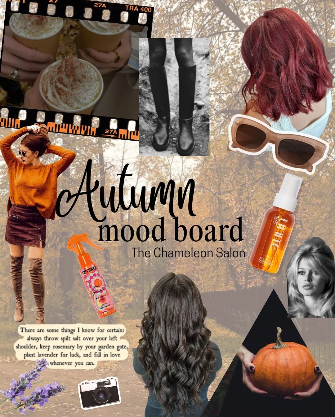 Fall is in full swing at the salon! Save our mood board for all your fall hair inspirations 🍂✨
