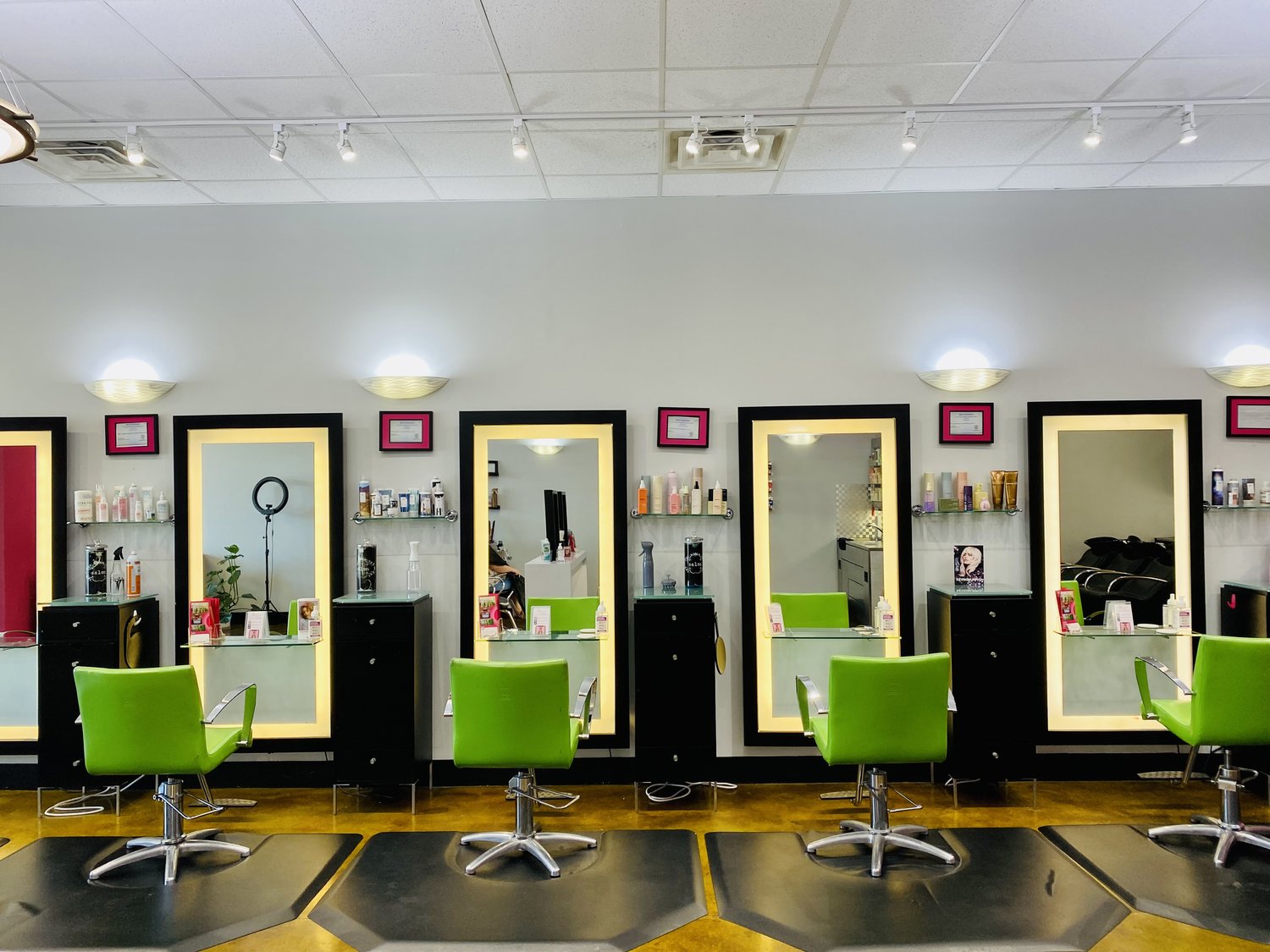 The Chameleon Salon